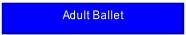 Adult Ballet.
